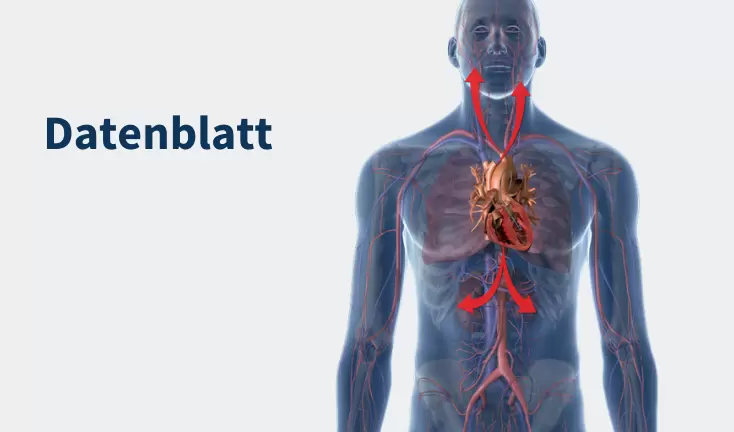  Downloads / Impella CP® mit SmartAssist® Datenblatt teaser image