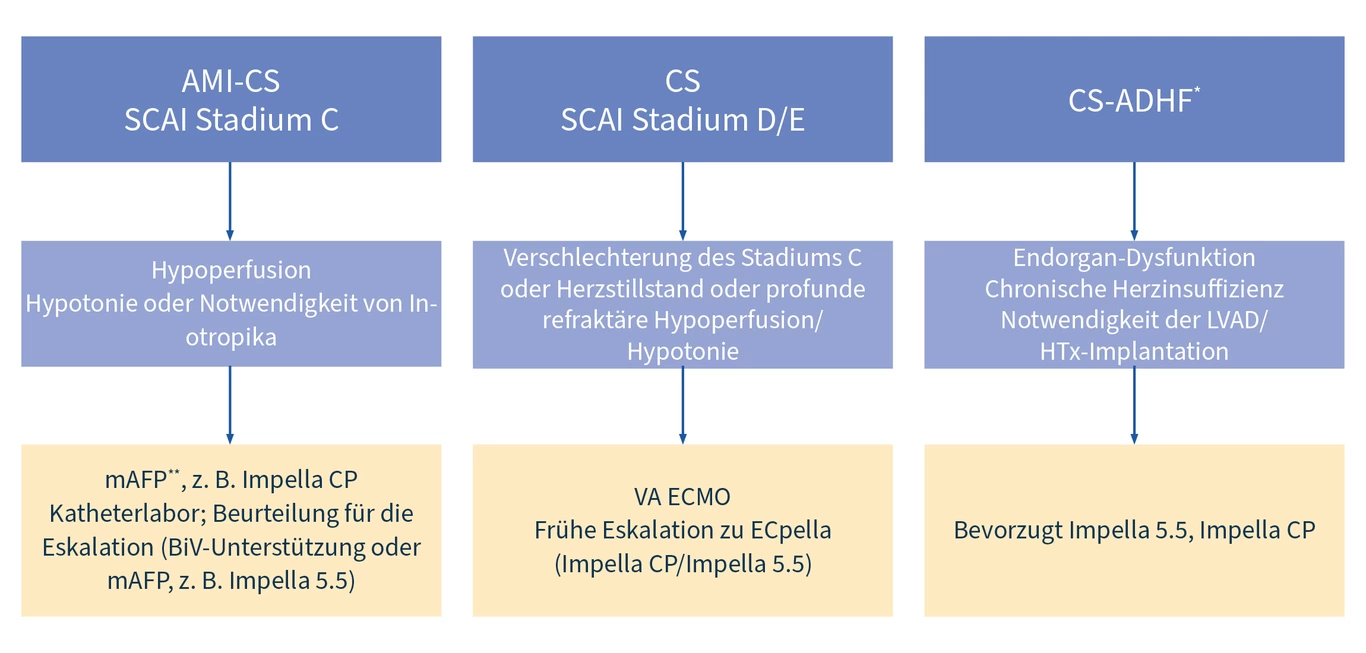 Strategies for Device Selection and Implantation Techniques