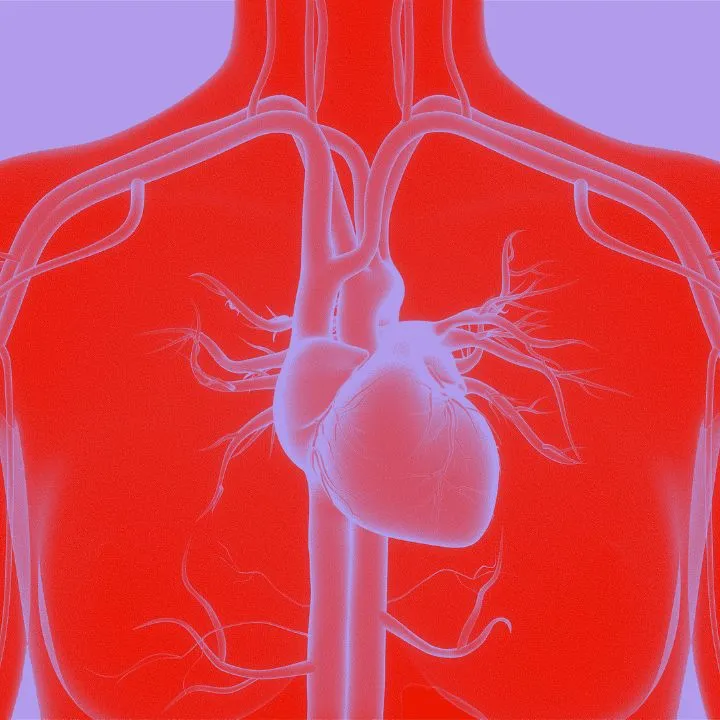 Long-term data of the DanGer Shock RCT