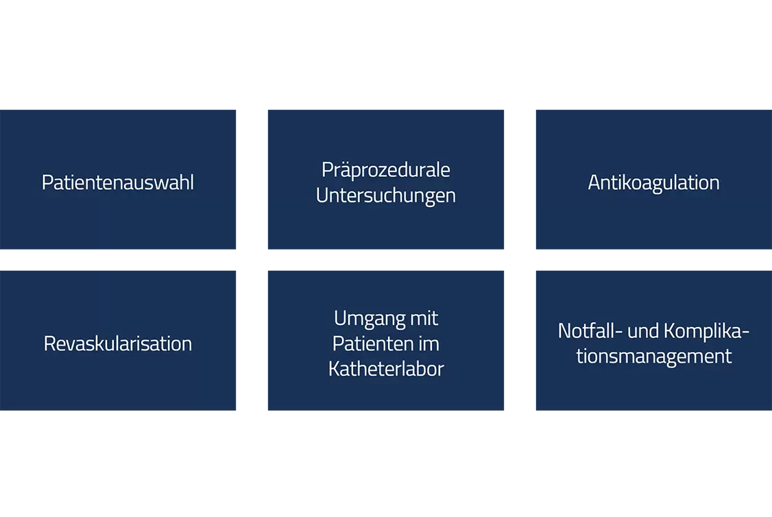 Best Practice aus Europa: Ein Schritt nach vorn zur Optimierung der Impella-geschützten perkutanen Koronarintervention zur Verbesserung der Ergebnisse nach Hochrisiko-Koronarinterventionen