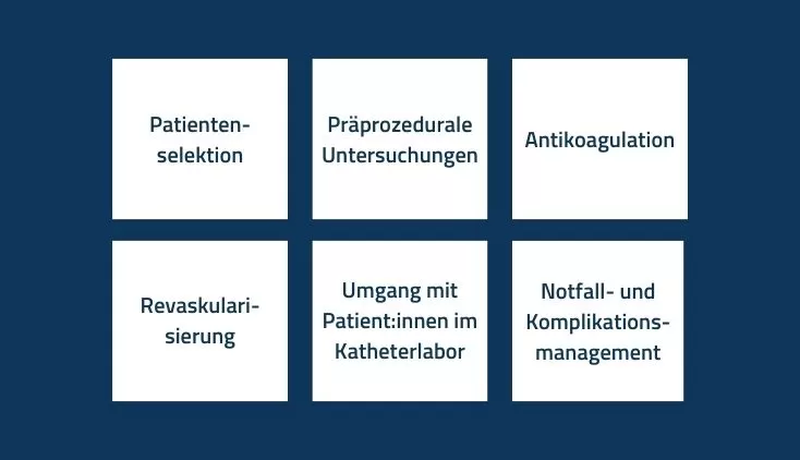 Optimierung der perkutanen Koronarintervention mit Impella Herzpumpen zur Verbesserung der Ergebnisse nach Hochrisiko-Koronarinterventionen