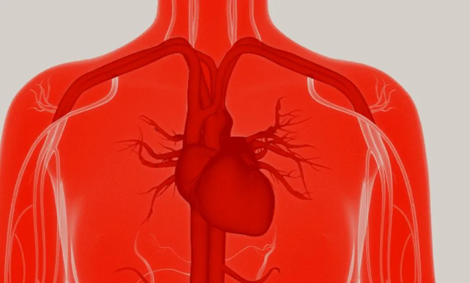 ACC/AHA/SCAI Guideline for the management of acute coronary syndrome