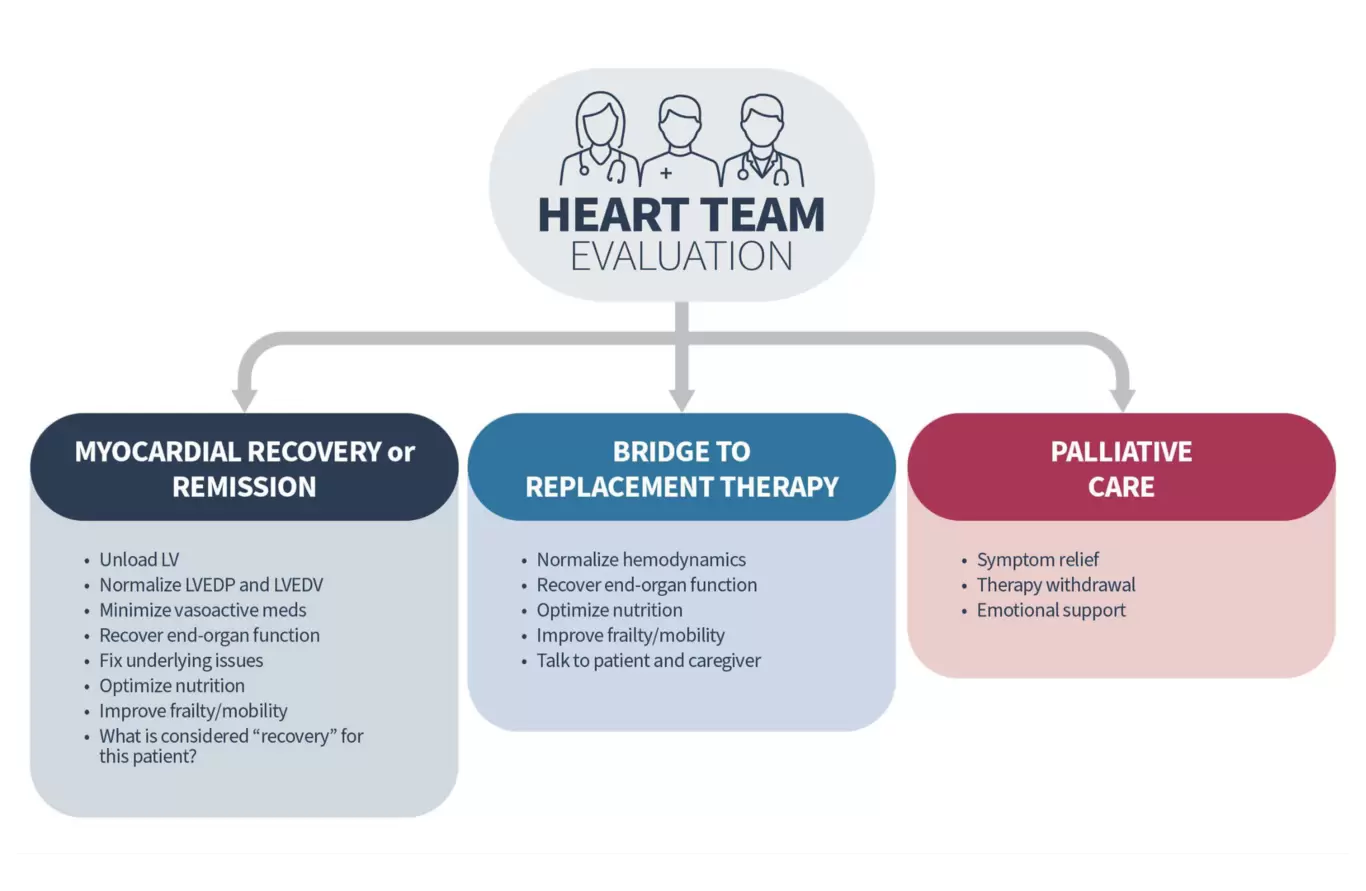Heart team evaluation image