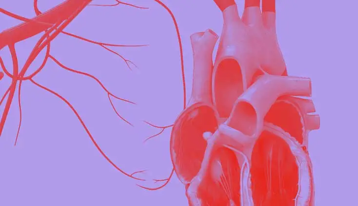 The Power of Hemodynamic Monitoring in Cardiogenic Shock Self-Directed Training