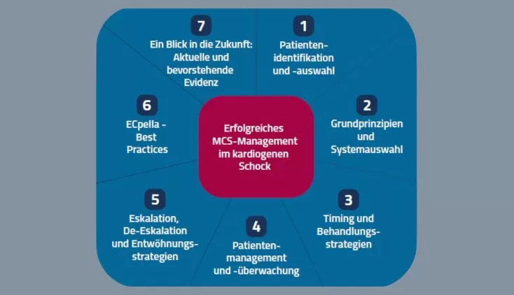 European Heart Journal Supplements - Best Practices im kardiogenen Schock: Ein Blick in die Zukunft
