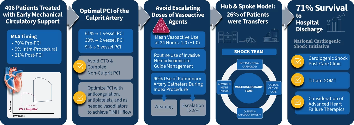 Infografik zur National Cardiogenic Shock Initiative (NCSI)