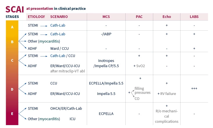 Recognizing Patients as Candidates for Mechanical Circulatory Support Along the Spectrum of Cardiogenic Shock
