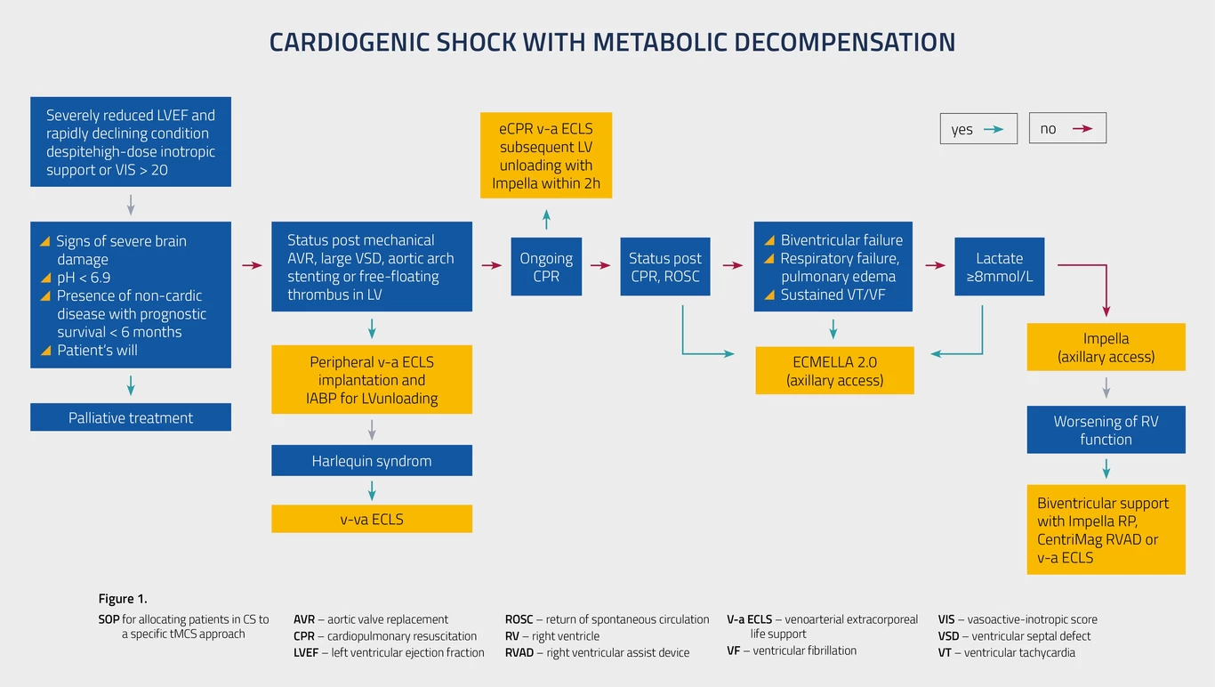 Improving Survival in Cardiogenic Shock—A Propensity Score-Matched Analysis of the Impact of an Institutional Allocation Protocol to Short-Term Mechanical Circulatory Support