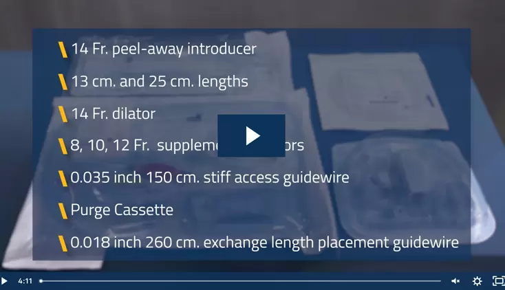 Impella® Skills Video: Setup Procedure for Impella CP® with SmartAssist®

&nbsp;
